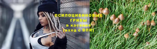 соль курить ск Алзамай
